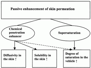 Penetration enhancement can occur two ways; almost all "moisturizers" use both pathways.